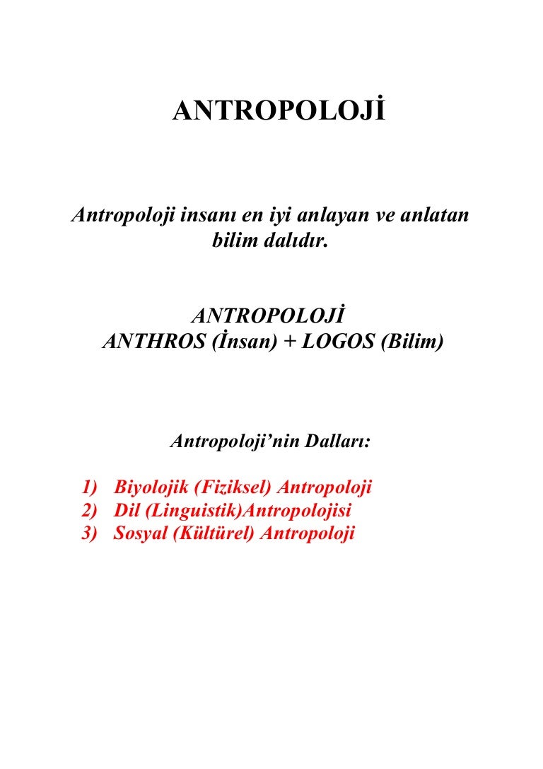 Yaban domuzu ne yiyor Öğreniriz Yaban domuzu ne yiyor Öğreniriz
